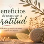Piedra con un corazón grabado entre flores y hojas al amanecer, representando la gratitud, la calma y el bienestar.